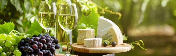 What to pack for your Winery Tour