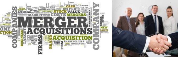 Limousine Company partnership