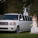 SUV Limousines 10-20 passengers